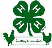 4-H Chicken