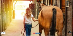 Cover photo for Equine Liability and Contract Issues for Horse Owners