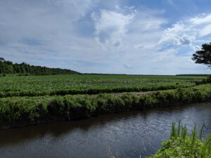 Cover photo for Talking Agricultural Water Resilience With USEPA Administrator Michael Regan