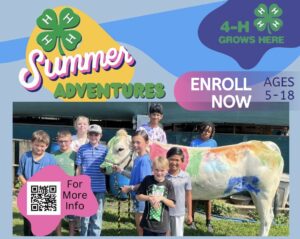 Cover photo for 4-H Summer Camps