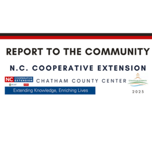 Cover photo for The Chatham County Center Releases Annual Report to the Community
