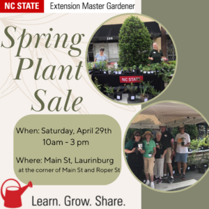 Cover photo for Scotland County Master Gardener's Spring Plant Sale 4/29/23