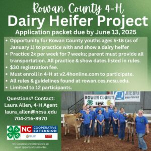 Cover photo for Rowan County 4-H Dairy Heifer Project