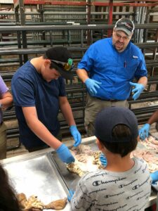 Cover photo for 2023 Livestock Judging & Skillathon Clinics