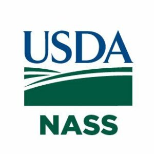 Cover photo for USDA Publishes 2022 National Hemp Report