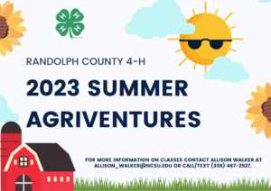 red barn, sun, clouds, 4-H green clover