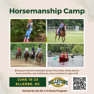 Cover photo for 2023 Horsemanship Camp