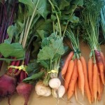 Cover photo for Tasty Cooking Demos and Safe Preserving