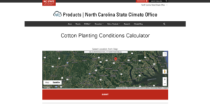 cotton planting conditions