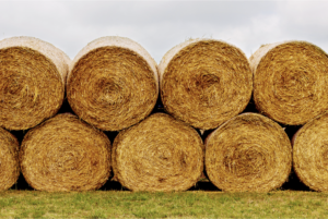 Cover photo for 2023 Tri-County Hay Directory Updated Information Needed!