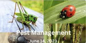 pest management