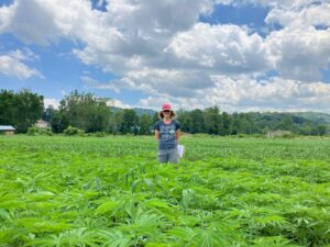 woman standing in a field of knee-high fiber hemp