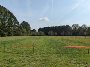Cover photo for Fertilizer Variety Trial Field Day