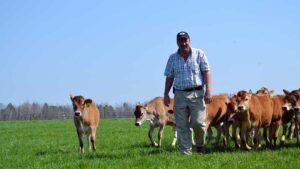 NC State Extension dairy team gives expert advice