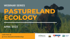 Cover photo for Pastureland Ecology Webinar Series Recordings