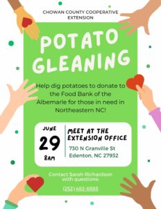Cover photo for Potato Gleaning Volunteer Opportunity June 29