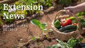 August 2023 Extension News