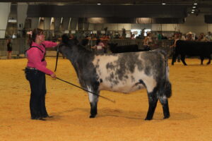 Cover photo for North Carolina Junior Beef Round-Up