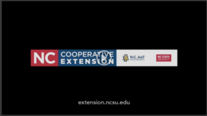 Cover photo for 2022 Report to the People