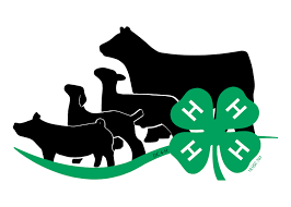 Cover photo for 2023 Chatham County 4-H Livestock Show - Sat., Sept. 9th