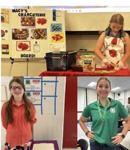4-H Presentation Winners