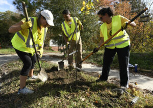 volunteers planting a tree