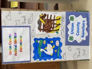 Cover photo for Livestock 4-H Club Holds Pet Supply Drive