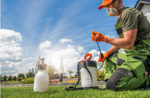 Cover photo for Free Pesticide Recertification Class - September 11th, 2025