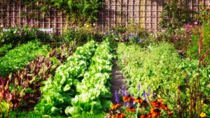 Cover photo for 2023 Extension Master Gardener Volunteer Certification Training