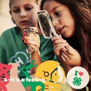 Cover photo for National 4-H Week in Tyrrell County