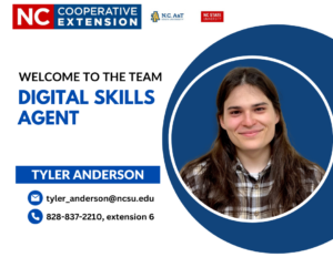 Tyler Anderson, Digital Skills Agent