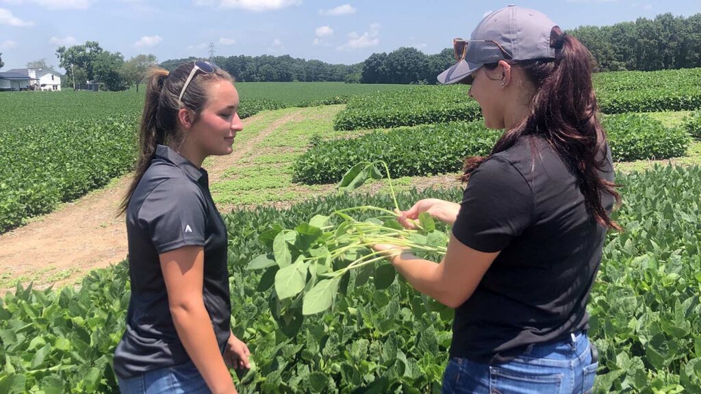 Internships Train the Next Generation of Extension Professionals NC