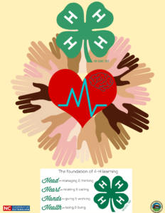 Cover photo for Advocate for Halifax County Youth! Halifax 4-H Fall in-School Programs Interest & Needs Assessment Form