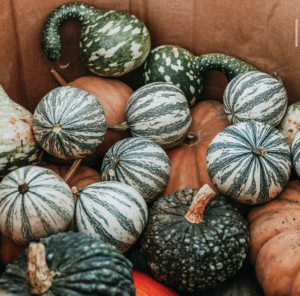 pumpkins and gourds