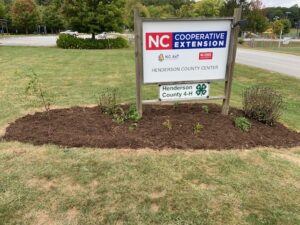 Cover photo for The Learning Garden