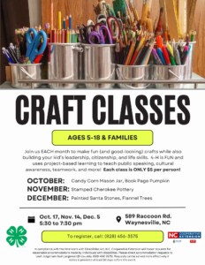 Cover photo for Seasonal Youth Craft Classes
