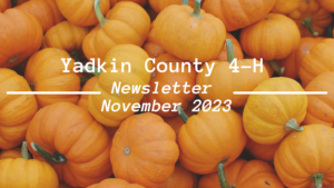 Yadkin County 4-H Nov. Newsletter