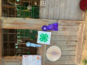 Ribbons displayed with fair booth