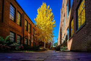 Cover photo for Gaston Grower Spotlight Sep / Oct 2023