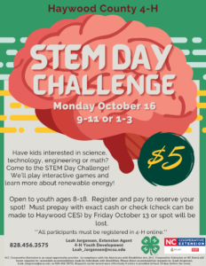 Cover photo for STEM Challenge Day