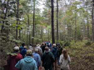 Cover photo for Non-Native Invasive Plant Landowner Workshop