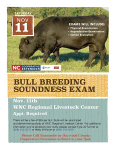 Cover photo for Fall Bull Breeding Soundness Exams