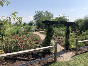 Mills River Pollinator Garden 2025