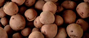 Photo of Irish Potatoes