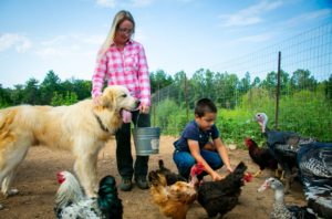 Cover photo for Farming as a Young Family - NC Farm School Stories
