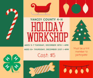 Cover photo for 4-H Holiday Workshop