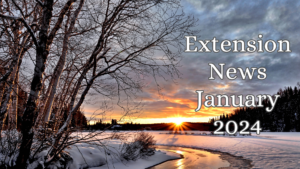 January 2024 Newsletter