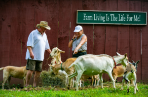 Cover photo for Creating Your Own Paradise - NC Farm School Stories