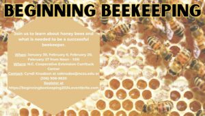 Honey bees on a honey comb