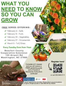 Grow Series Flyer 2024